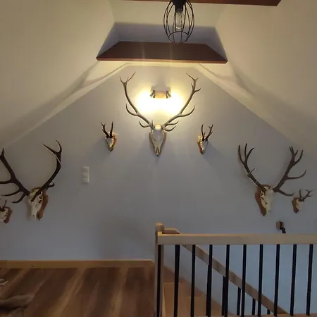 Apartman Mysliwski Golkowice Dolne