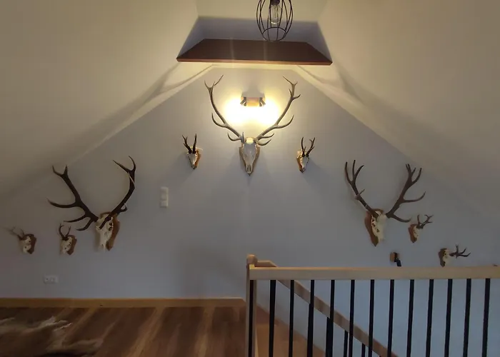 דירה Mysliwski Golkowice Dolne