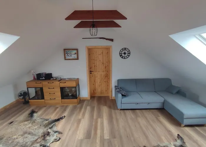 Apartman Mysliwski *